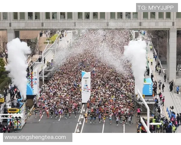 东京体育馆周边文化与体育设施发展现状及未来规划分析