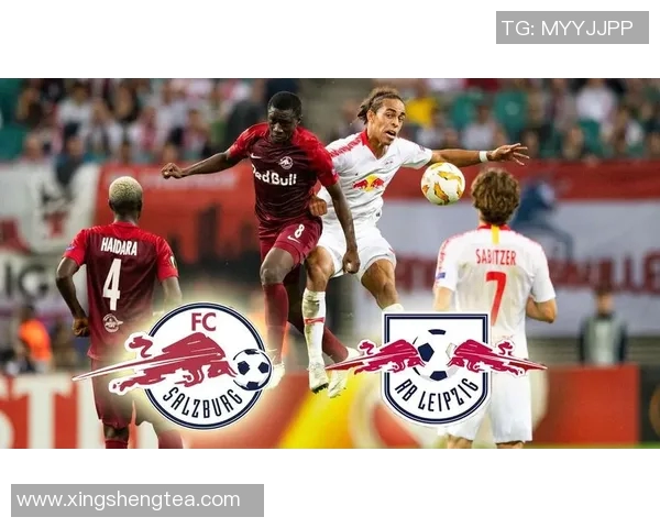 勒沃库森足球俱乐部的历史成就与未来发展潜力探讨