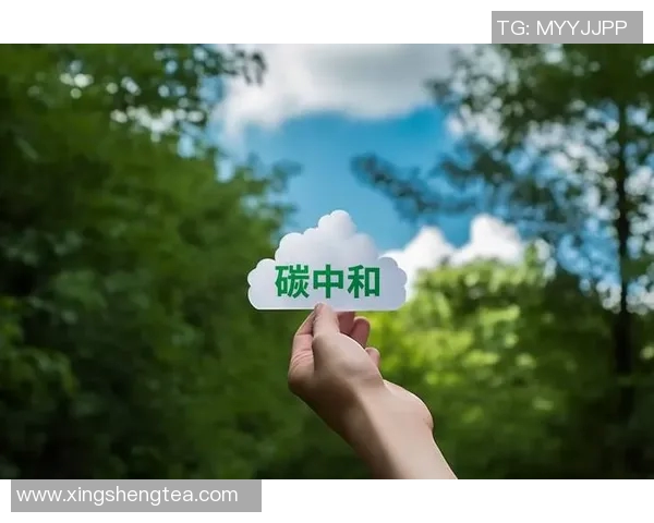 新华社发布全球气候变化报告 强调加速绿色转型应对挑战