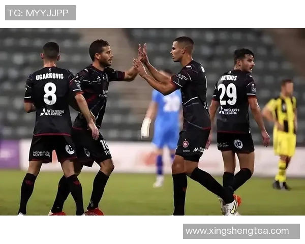 西部联与阿德莱德的激烈对决解析及赛前预测分析