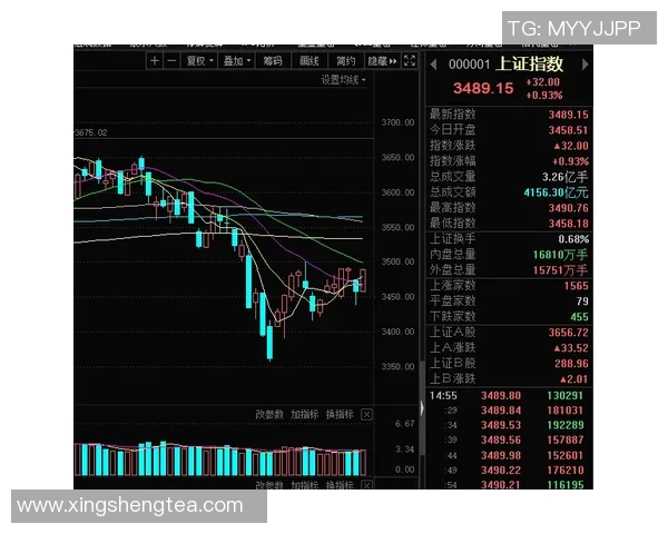 聚焦A股指数走势及其对市场情绪和投资策略的深远影响分析