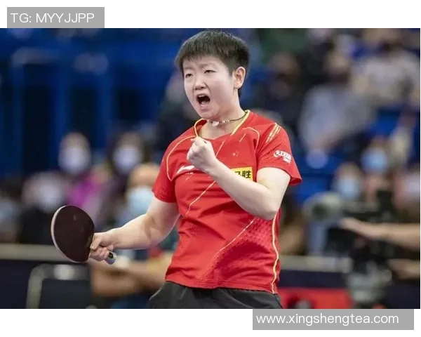 南京排球队战术表现深度解析与大满贯点评 南京排球队战术表现深度解析与大满贯点评