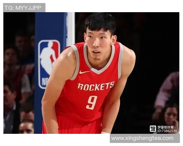 北京篮球队个人能力深度解析与发展潜力探讨