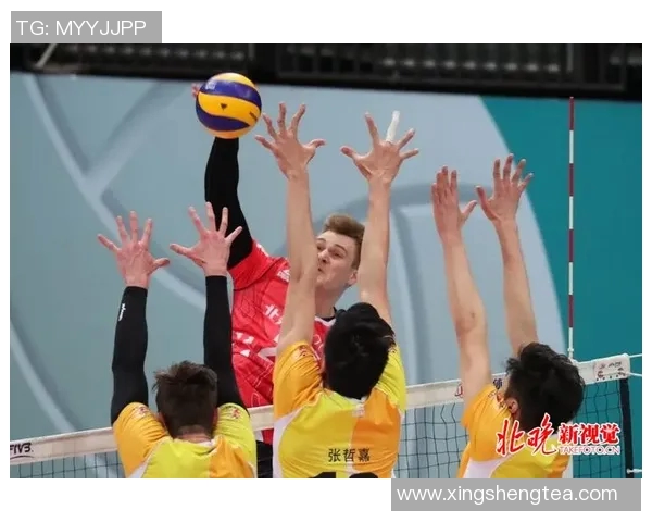 上海排球队的节奏与战术解析聚焦排球运动的魅力与挑战