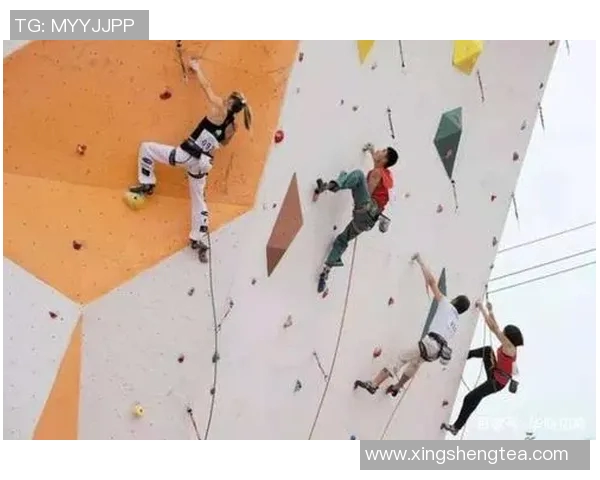 广州极限运动队如何通过阵地战革新提升竞技水平与团队协作能力