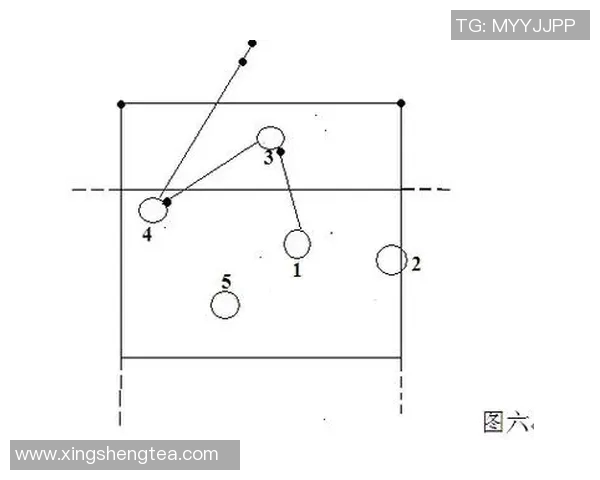 成都排球队战术表现深度分析与数据解读探讨
