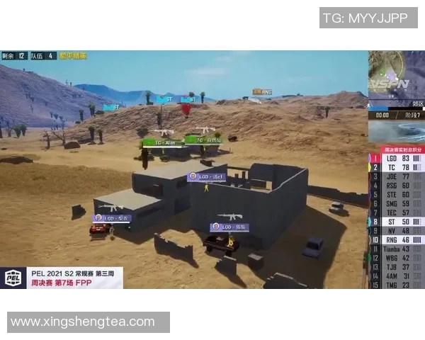 和平精英战术分析：RNG区域防守策略与战术解读