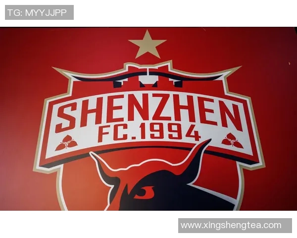 深圳排球队状态分析：聚焦球队表现与未来发展方向