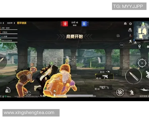 聚焦和平精英：探讨LNG战队在电竞赛场上的强大影响力与团队精神