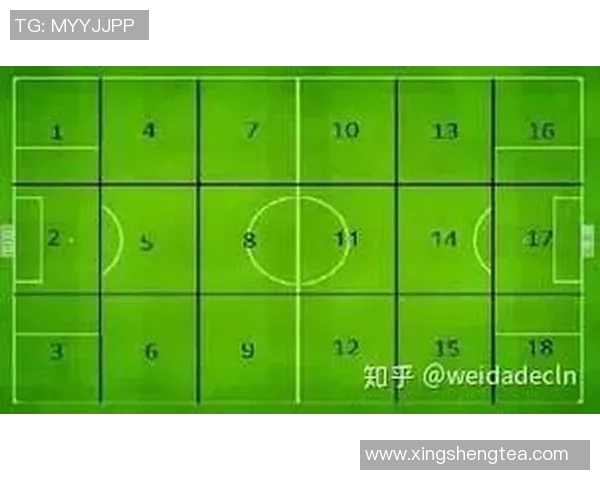 赛后分析：广州足球队与西安足球队在比赛中的战术灵活性对比