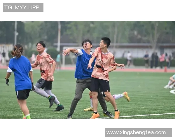 飞盘之路的追寻与坚持赵磊分享他的飞盘生涯与心路历程