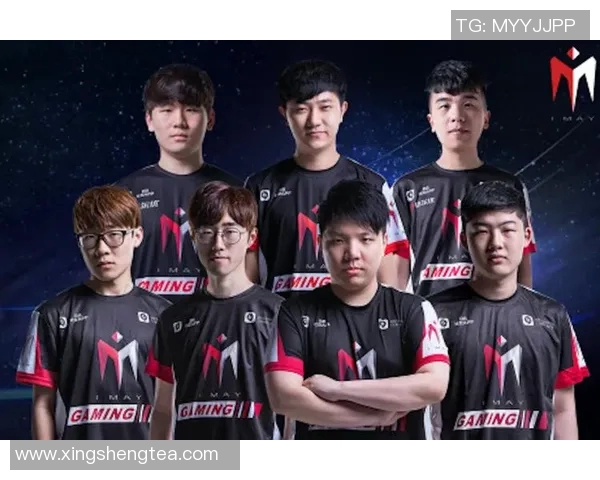 BLG战队选手个人能力分析与团队协作的深度探讨