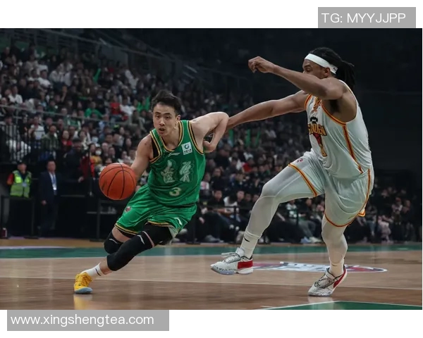 南京羽毛球队防守革新之路:从传统到现代的转型与突破 南京羽毛球队防守革新之路:从传统到现代的转型与突破