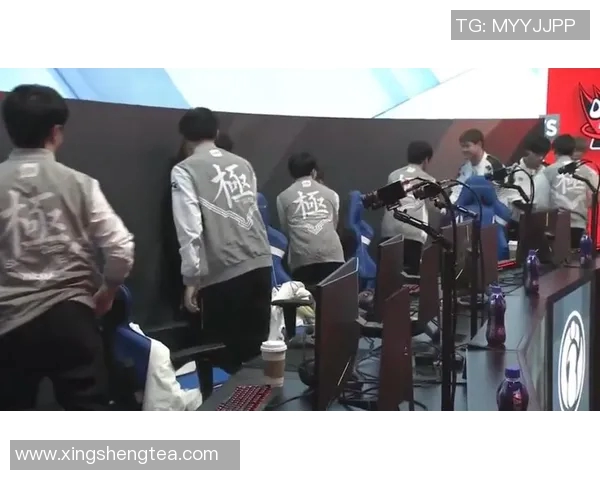 和平精英深度解析：IG战队在耐力赛中的表现与策略探讨