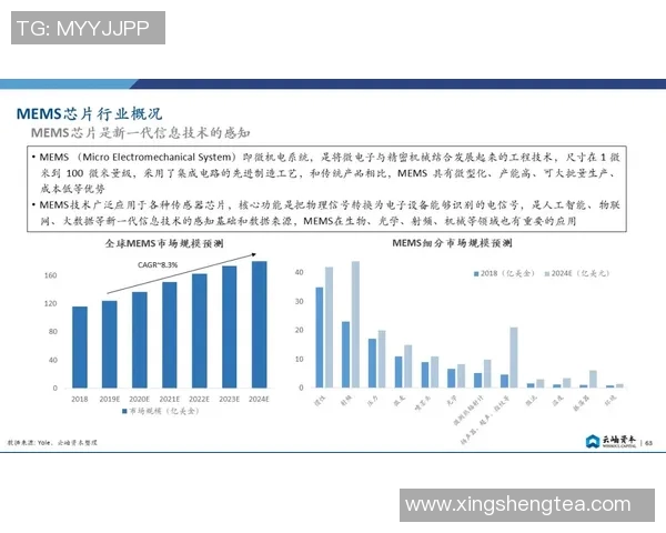 广州极限运动队现状分析与未来发展展望的深度探讨 广州极限运动队现状分析与未来发展展望的深度探讨