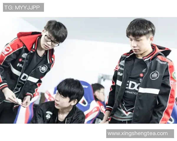 英雄联盟深度解析RNG战队的战术转型与成功之路