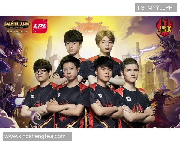 职业联赛特别报道：WE战队的拼搏历程与荣耀之路