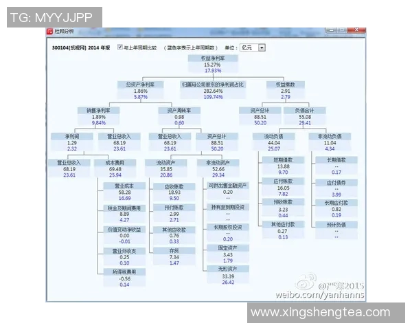意甲球队财务状况及经济运营分析报告