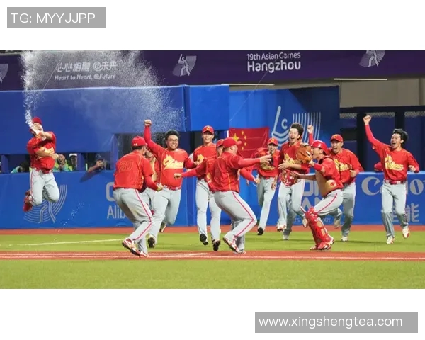 杭州羽毛球队整体压制革新之路探索与实践分析