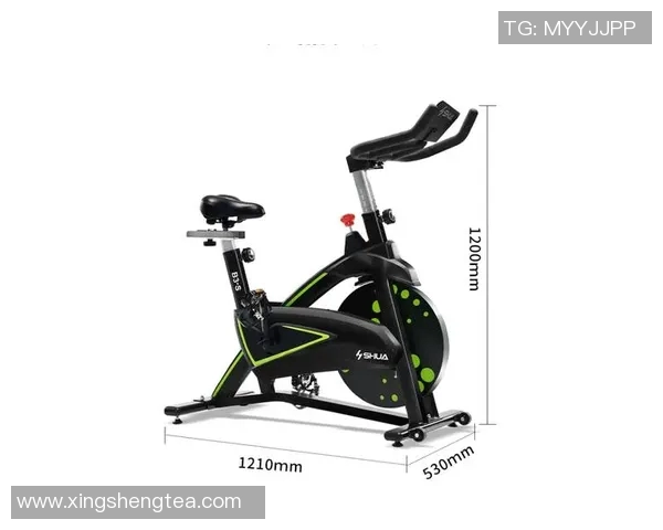 舒华健身器材在家庭与商用市场的应用对比