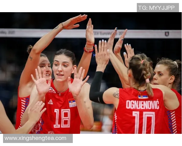 上海网球队在欧锦赛积分榜上以94分稳居第一名展现强劲实力