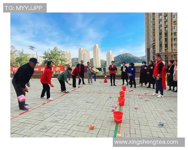 北京飞盘队阵地战分析：战术得失与未来发展方向探讨