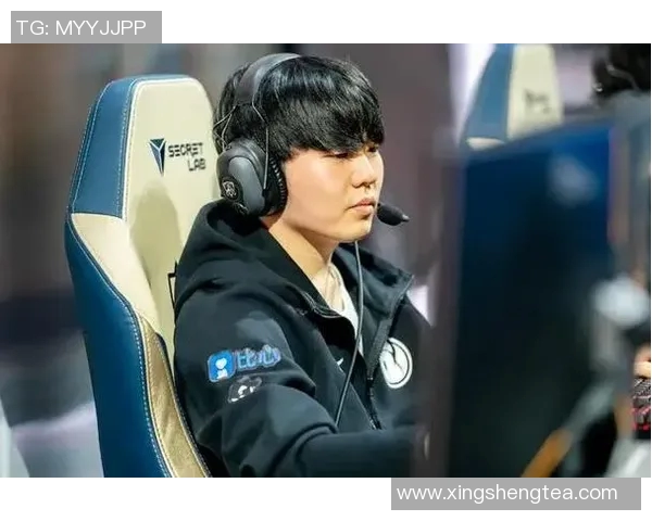 和平精英专题深度解析IG战队的实力与战术策略