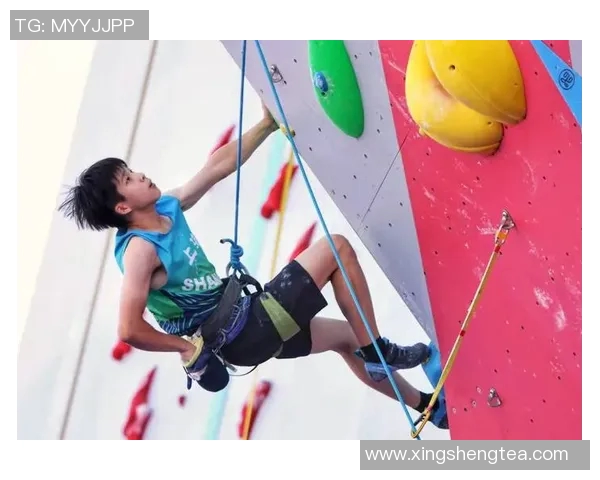 攀岩战术解析上海攀岩队的区域防守与进攻策略研究