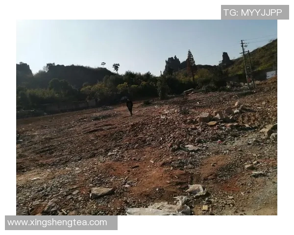 杭州攀岩队区域防守战术解析与攀岩热点的深度探讨