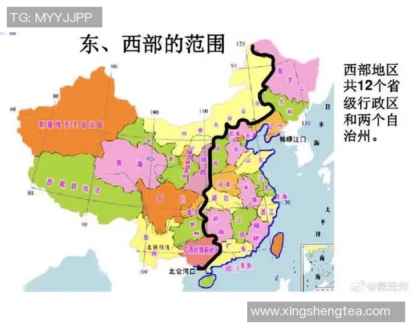 北京乒乓球队状态分析与未来发展展望专题研究