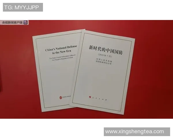 北京乒乓球队防守策略深度解析与技术探讨